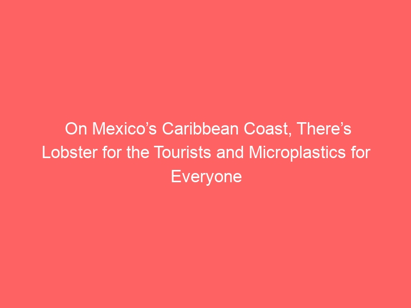 On Mexico’s Caribbean Coast, There’s Lobster for the Tourists and Microplastics for Everyone Else
