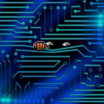 Private messaging faces threats from AI, limited user awareness: Session execs