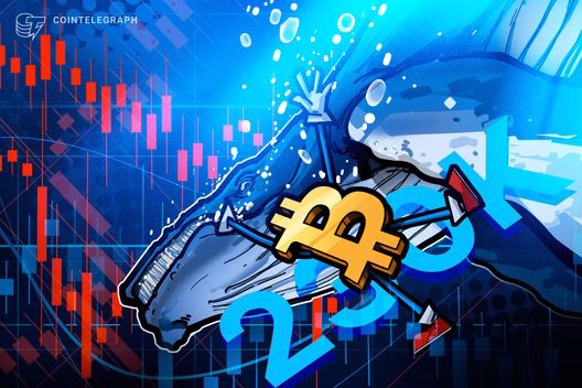Bitcoin whales participate in V-shaped accumulation, offsetting 230K BTC sell-off