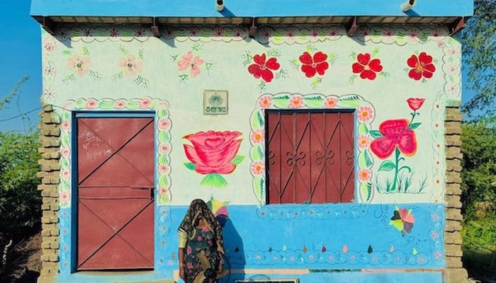 Running on sunshine: Pakistan’s solar boom to tide over Middle East energy crisis